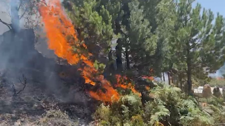 Fire at Gorica customs point, vehicle passage suspended