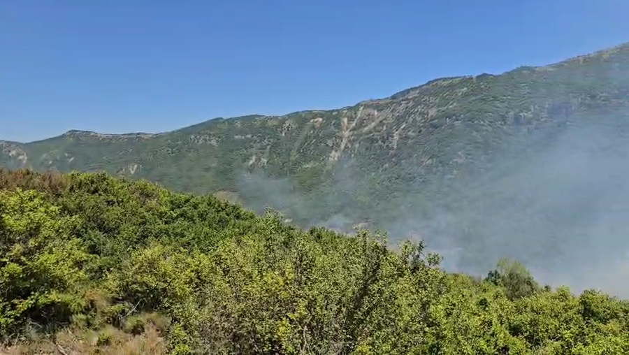 Fires continue in Dishnica, Korça, 87 forces on the ground, firefighting