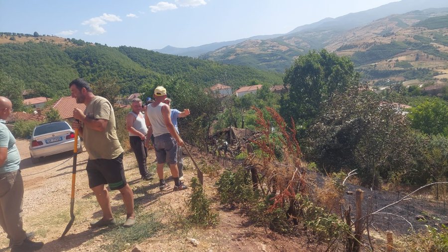 Zjarri rrezikon banesat, banorët izolojnë flakët në Pogradec