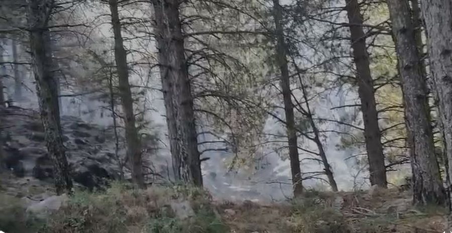 Situata në Delvinë drejt normalizimit, shuhet zjarri që