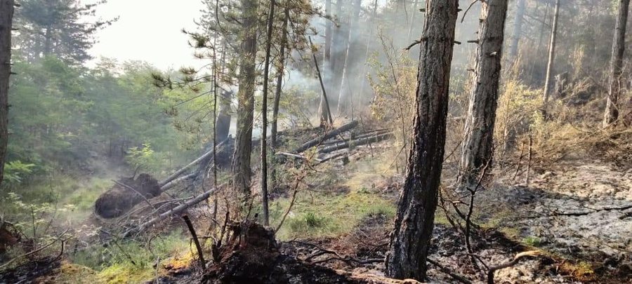 Dy vatra aktive zjarri në Korçë, të angazhuar 143 forca
