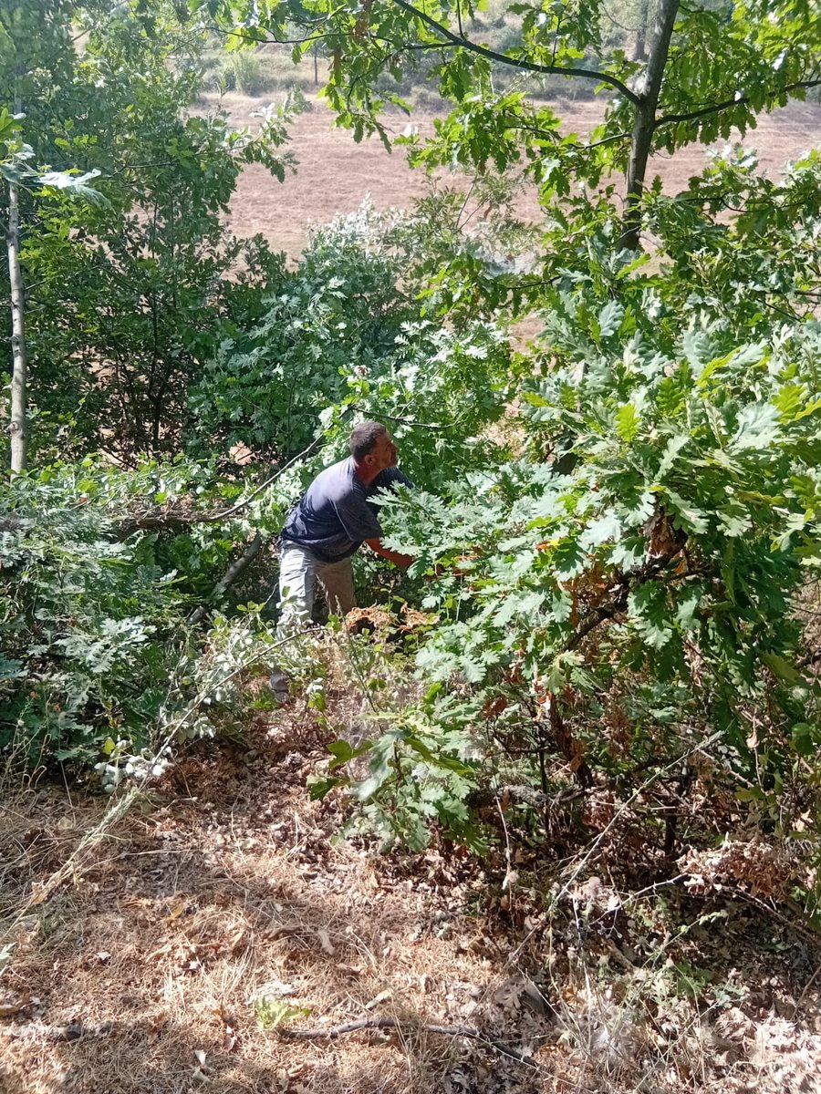 Extreme temperatures, OSHEE takes measures to prevent fires in Kukës, power