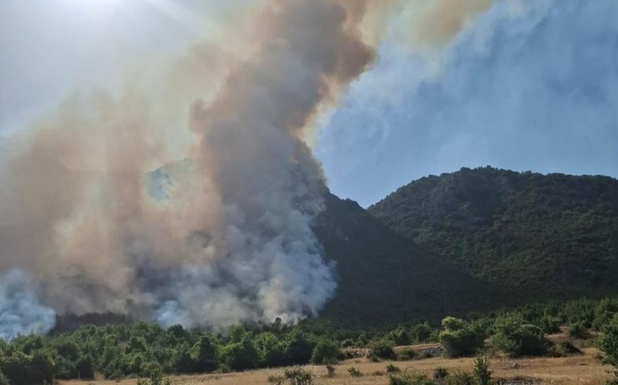 Zjarr i madh në Parkun Kombëtar të Prespës