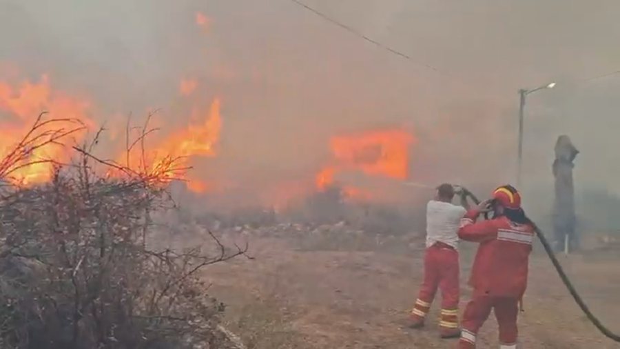 Qindra efektivë në terren, zjarret rrezikojnë zona të