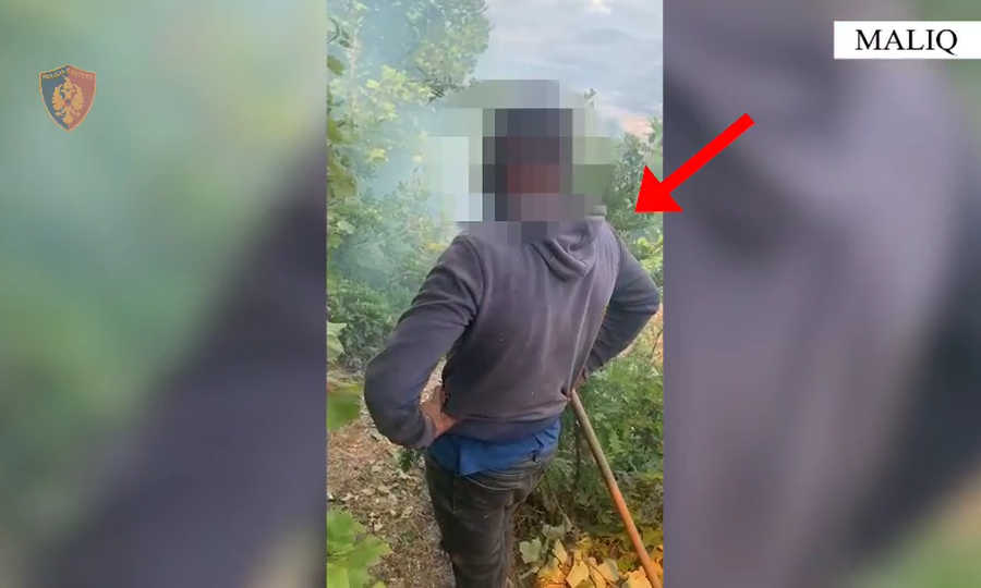 Ndezi zjarr për të hapur kullotë, arrestohet 26-vjeçari