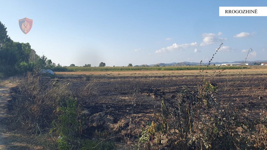 Fires were started in two villages in Kavaja, the perpetrators are identified