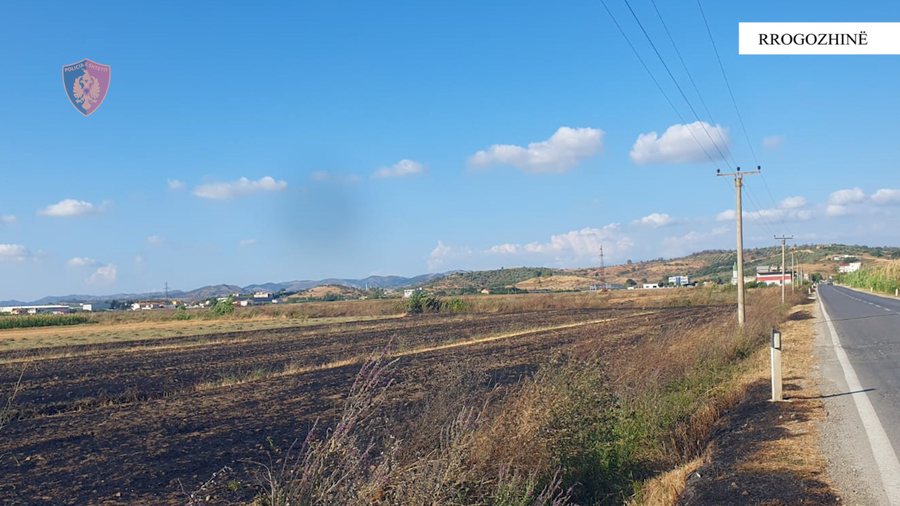 Fires were started in two villages in Kavaja, the perpetrators are identified