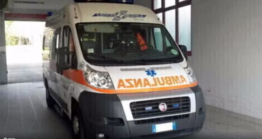 U kafshua nga qeni i familjes, i mituri përfundon në spital