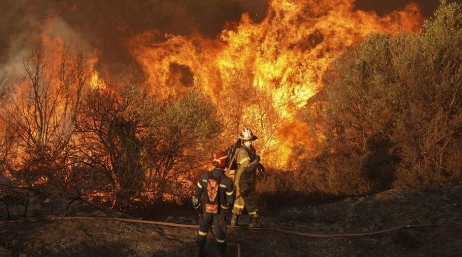 Emergjencë në Kaliforni, zjarri shkatërron pyje dhe