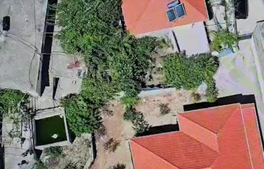 Planted cannabis in the yard of the apartment in Lazarat, 55-year-old in