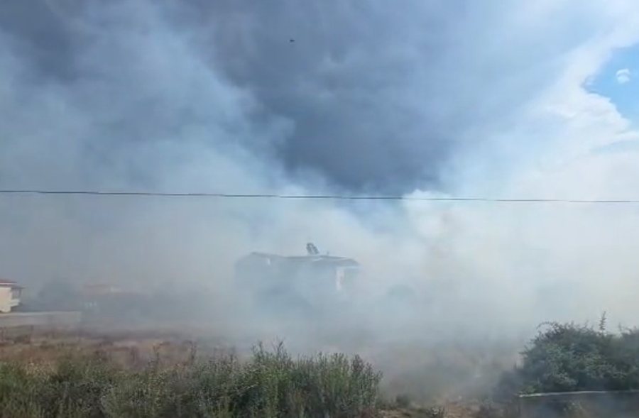 Agricultural land and reeds are engulfed in flames, smoke covers the city