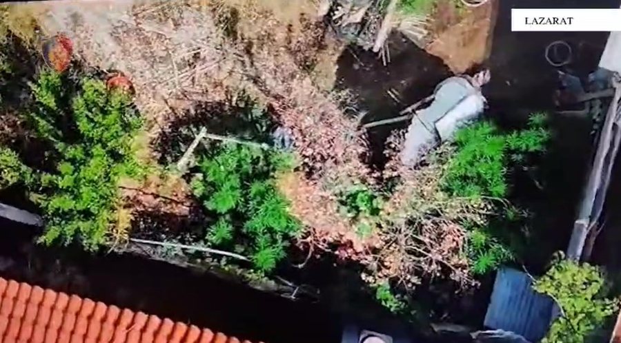 Tjetër tentativë për të kultivuar kanabis në Lazarat,