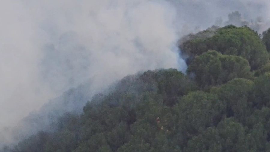 Zjarri në Gjinoqarë, shkrumbohet masivi me pisha