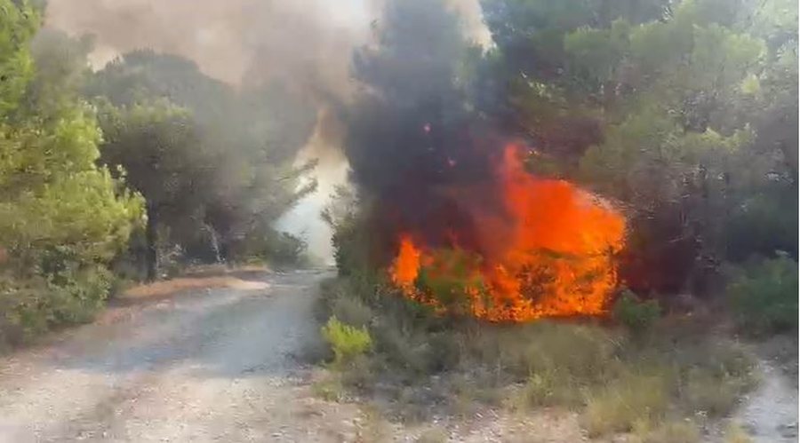 Zjarr në pyllin mes Patosit dhe Mallakastrës, ndërhyjnë