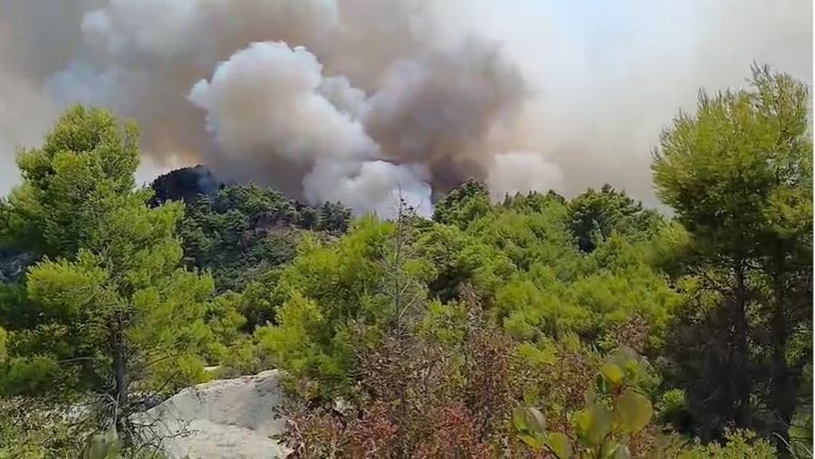 Zjarr në pyllin mes Patosit dhe Mallakastrës, ndërhyjnë