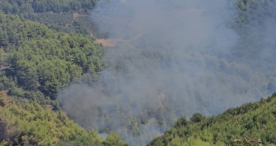 3 vatra zjarri aktive në masivin pyjor në Mallakastër,