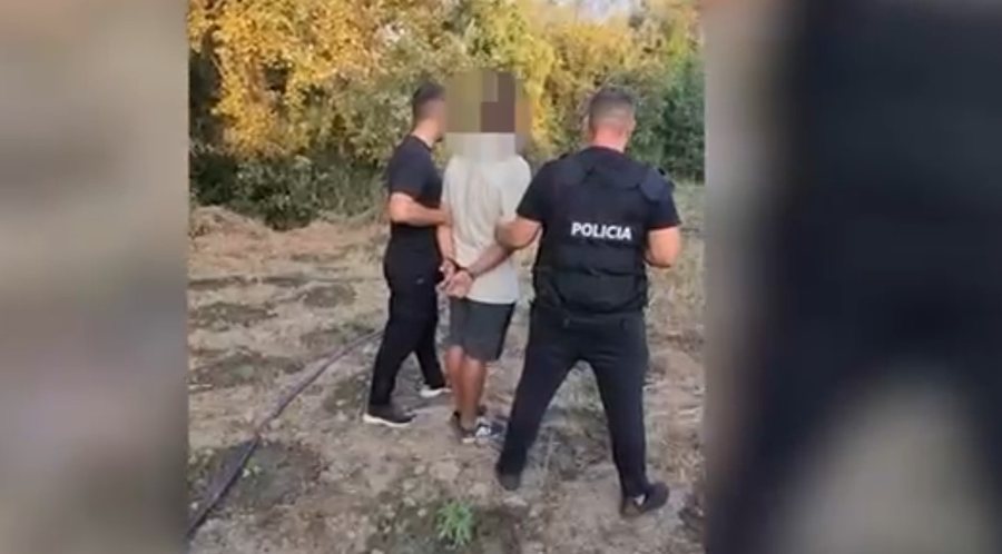 Kultivonte bimë narkotike, arrestohet 32-vjeçari në Krujë