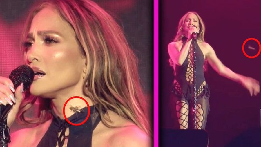 Një karkalec "i vjedh" shfaqjen Jennifer Lopez, episodi bën