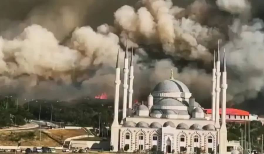Turqia në luftë me flakët, zjarri masiv në Dardanele bllokon