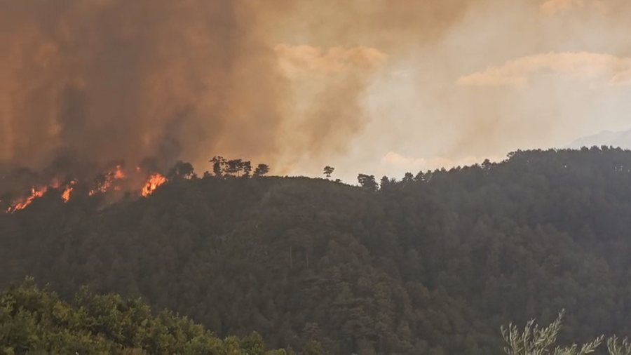 Situatë kritike në disa fshatra, viktima e parë nga zjarret