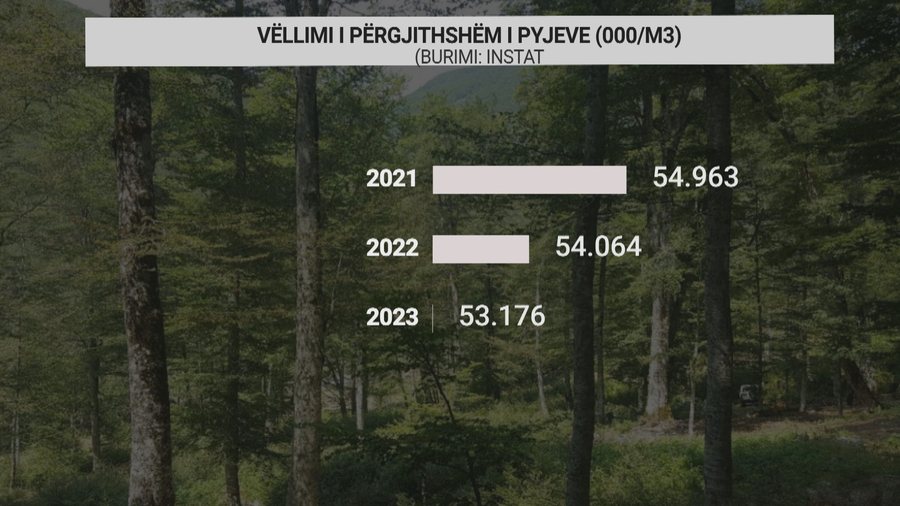 Pyjet e Shqipërisë po tkurren me shpejtësi, zjarret dhe prerjet e