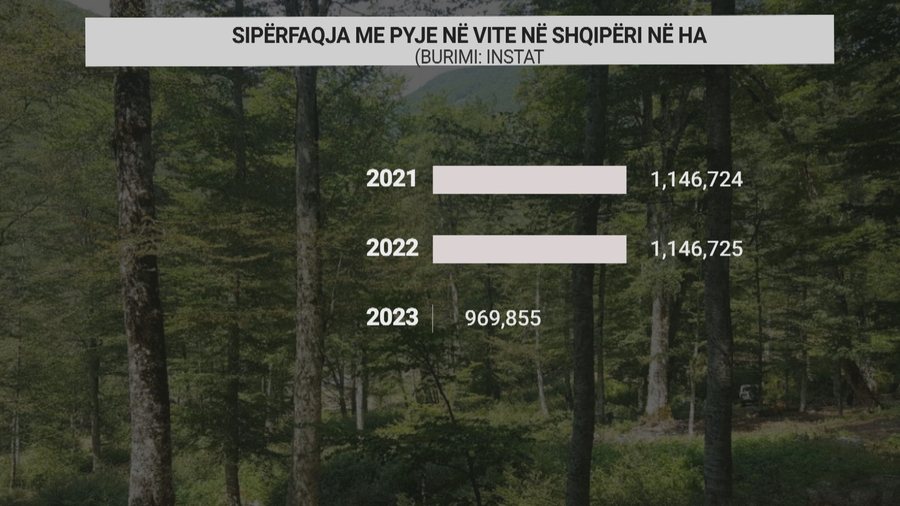 Pyjet e Shqipërisë po tkurren me shpejtësi, zjarret dhe prerjet e