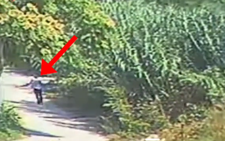 Zjarrvënie të qëllimshme në Fier e Lushnjë, arrestohen