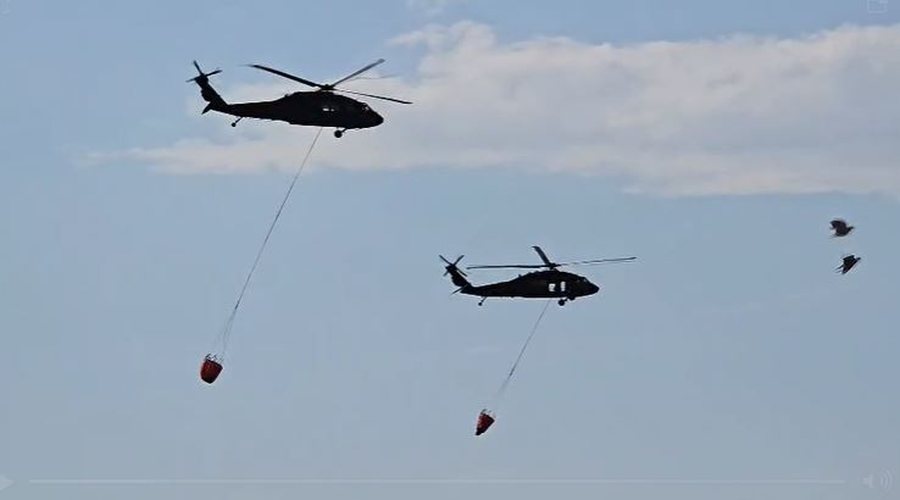 34 vatra zjarri në 24 orë në vend, helikopterë dhe forca