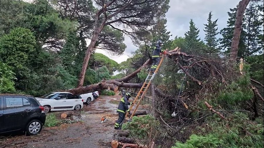 Breshër, rrugë të përmbytura dhe pemë mbi makina,