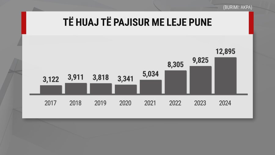Kryesisht nga Turqia, Egjipti e Filipinet, gati 13 mijë të huaj