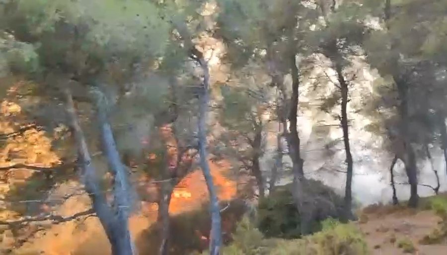 Zjarri pranë Lagunës së Nartës në Vlorë, 4