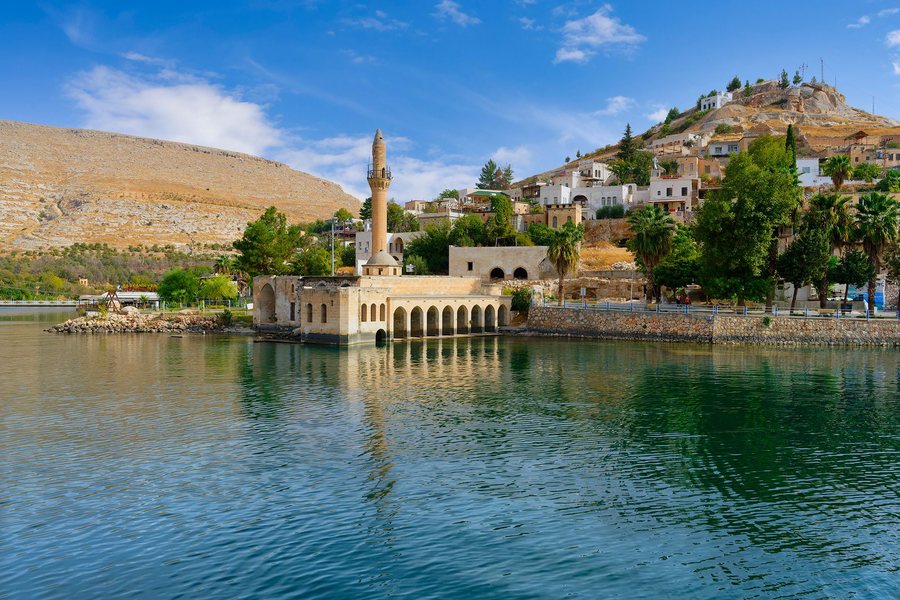 Qyteti nënujor ku çelin vetëm trëndafila të zinj