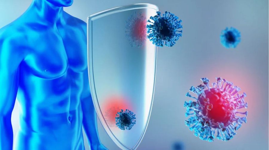 Së shpejti një terapi universale antivirale, testohet me sukses te
