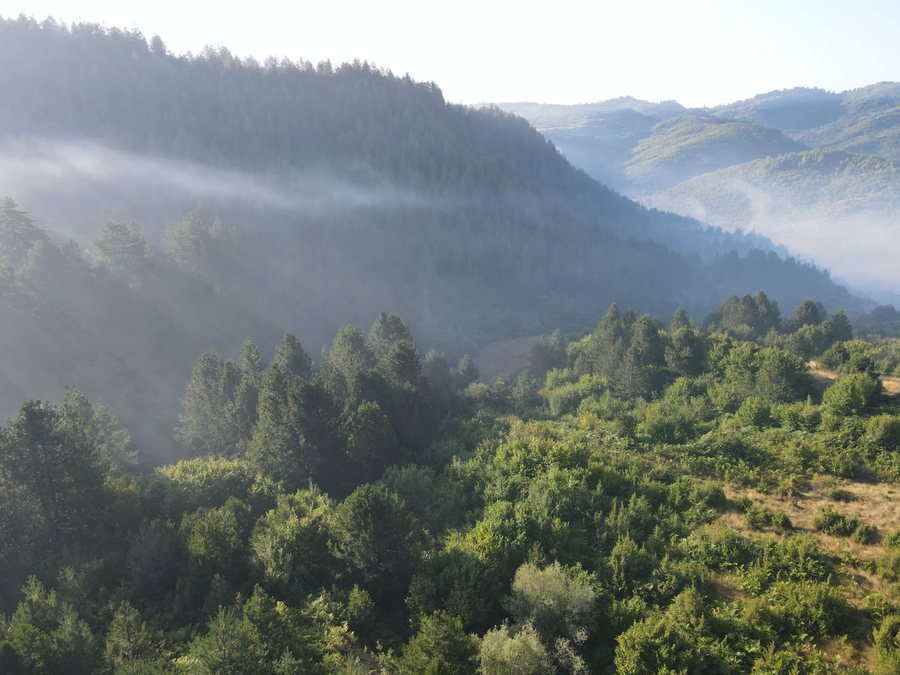 Situata e zjarreve, 26 vatra në të gjithë vendin në 24