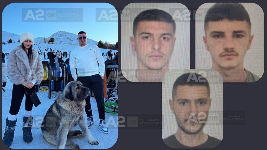 Magazinë me lëndë narkotike dhe armë, 5 të arrestuar