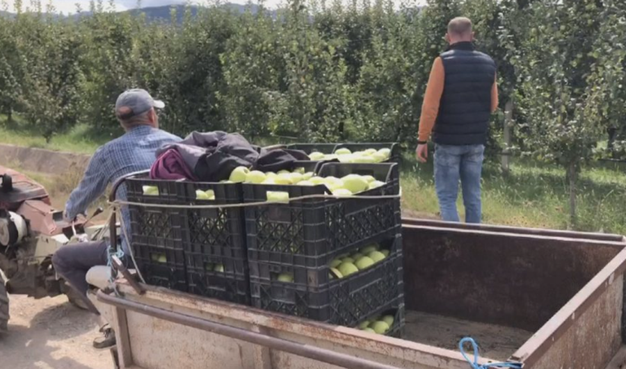 Ekonomia shqiptare u rrit me 3.5 përqind në tremujorin e dytë