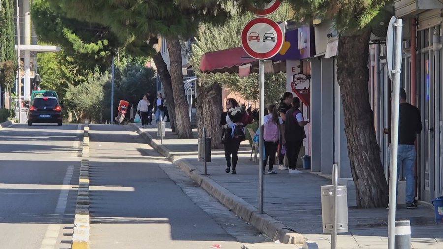 Fëmijët me aftësi ndryshe, shifra shqetësuese vit pas viti