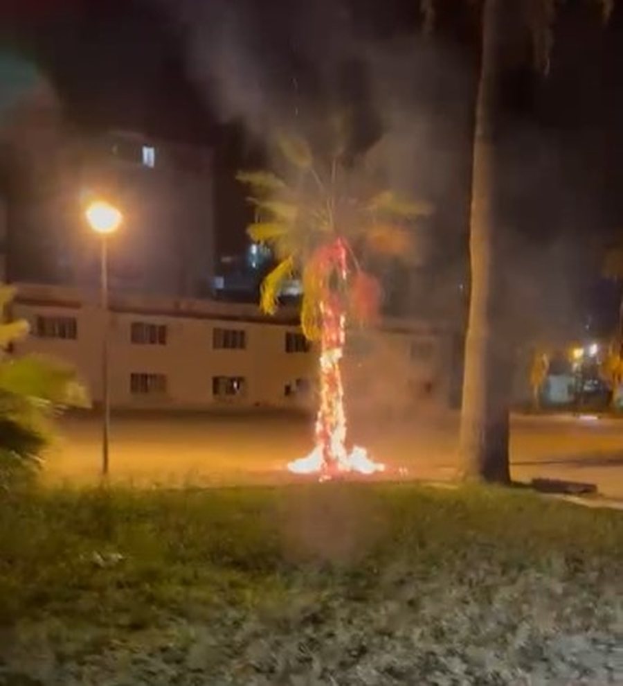 Zjarr në Lungomaren e Vlorës, i vendoset flaka një palme