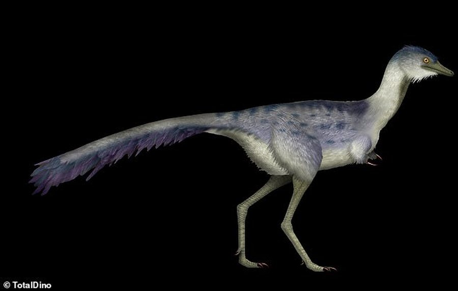 Zbulohet veza e dinozaurit 70 milionë vjeçare, është