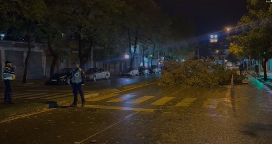 Rënie pemësh dhe inertesh nga reshjet e shiut dhe era e fortë