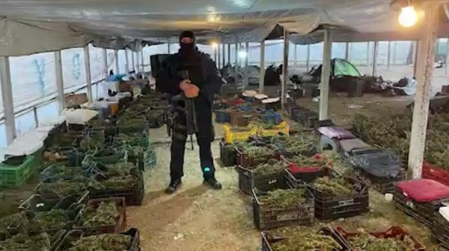 Rreth 900 kg drogë, kapet në Angli 30-vjeçari për serat me