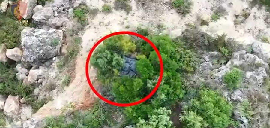 Zbulohet një ambient i përshtatur për tharje kanabisi në