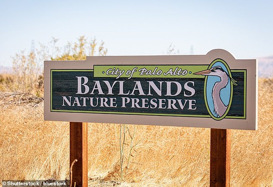 Ligji i ri detyron banorët amerikanë të fikin dritat pas