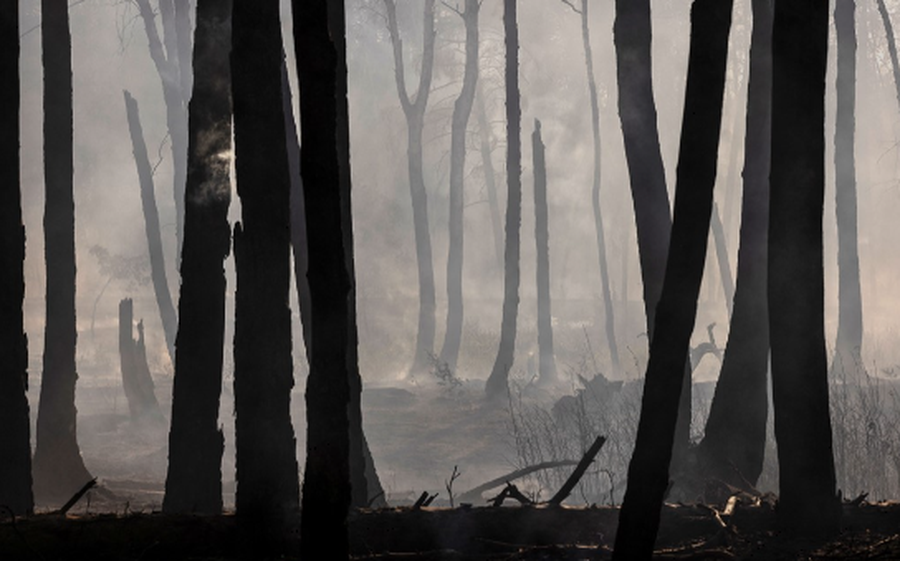 Ukraina akuzon Rusinë për ekocid