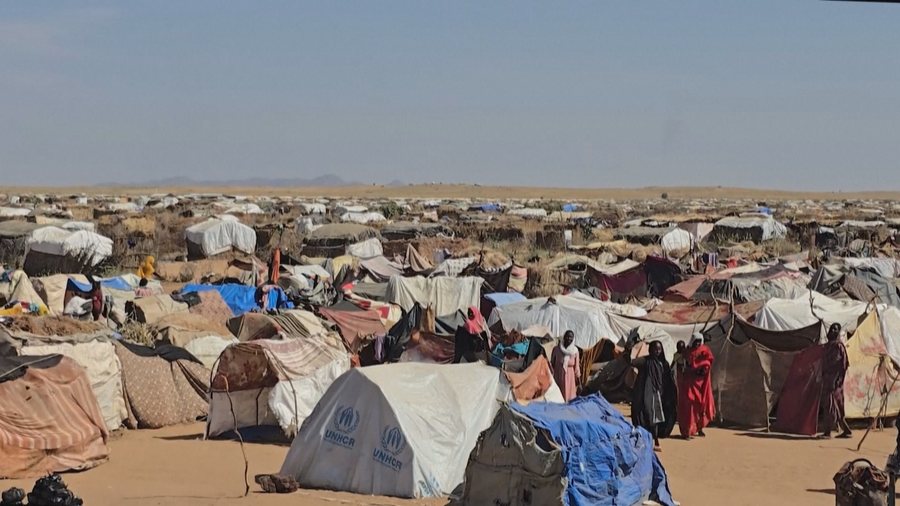 Llogore disa metra të gjata, studiuesit amerikanë zbulojnë varre