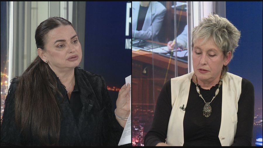 “Projektligji, kthim me vulë në diktaturë”, Pano: