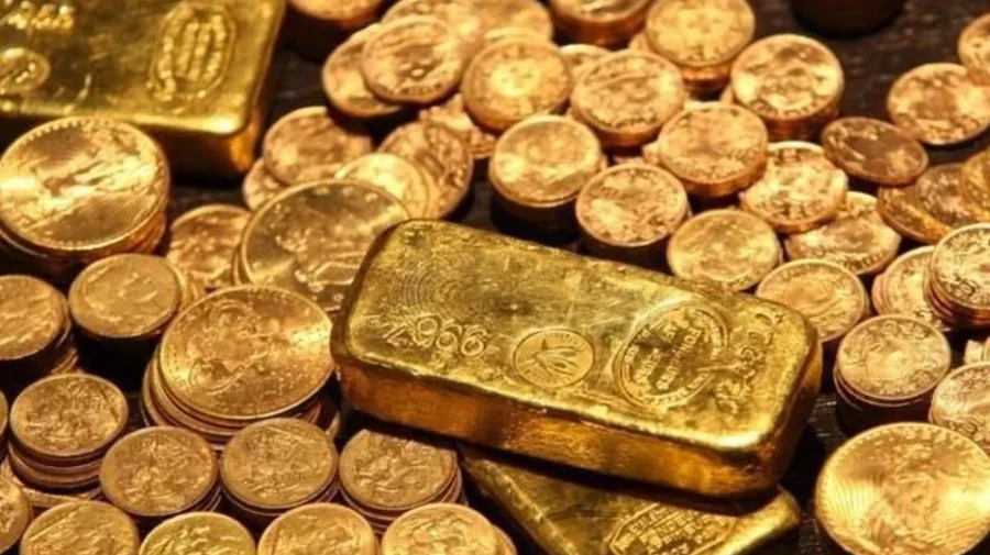 Po gërmonte për një pishinë, gjen thesarin në oborr