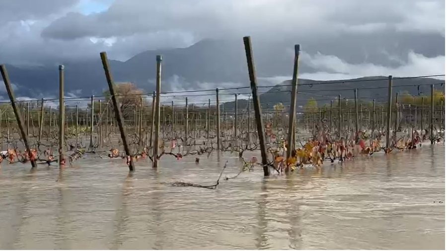 Del nga shtrati liqeni i Viroit, toka e vreshta të përmbytura në