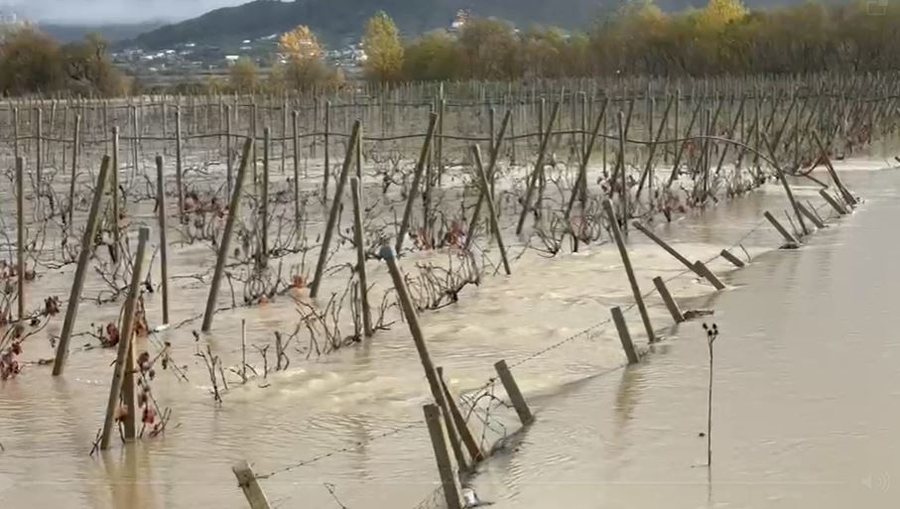 Del nga shtrati liqeni i Viroit, toka e vreshta të përmbytura në