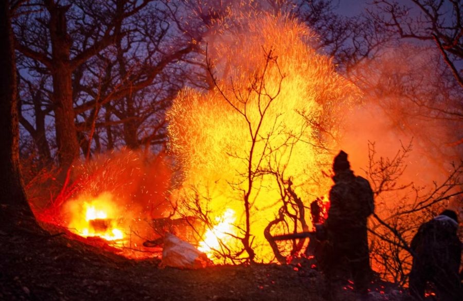 Irani kërkon ndihmë urgjente për luftimin e zjarrit në pyjet